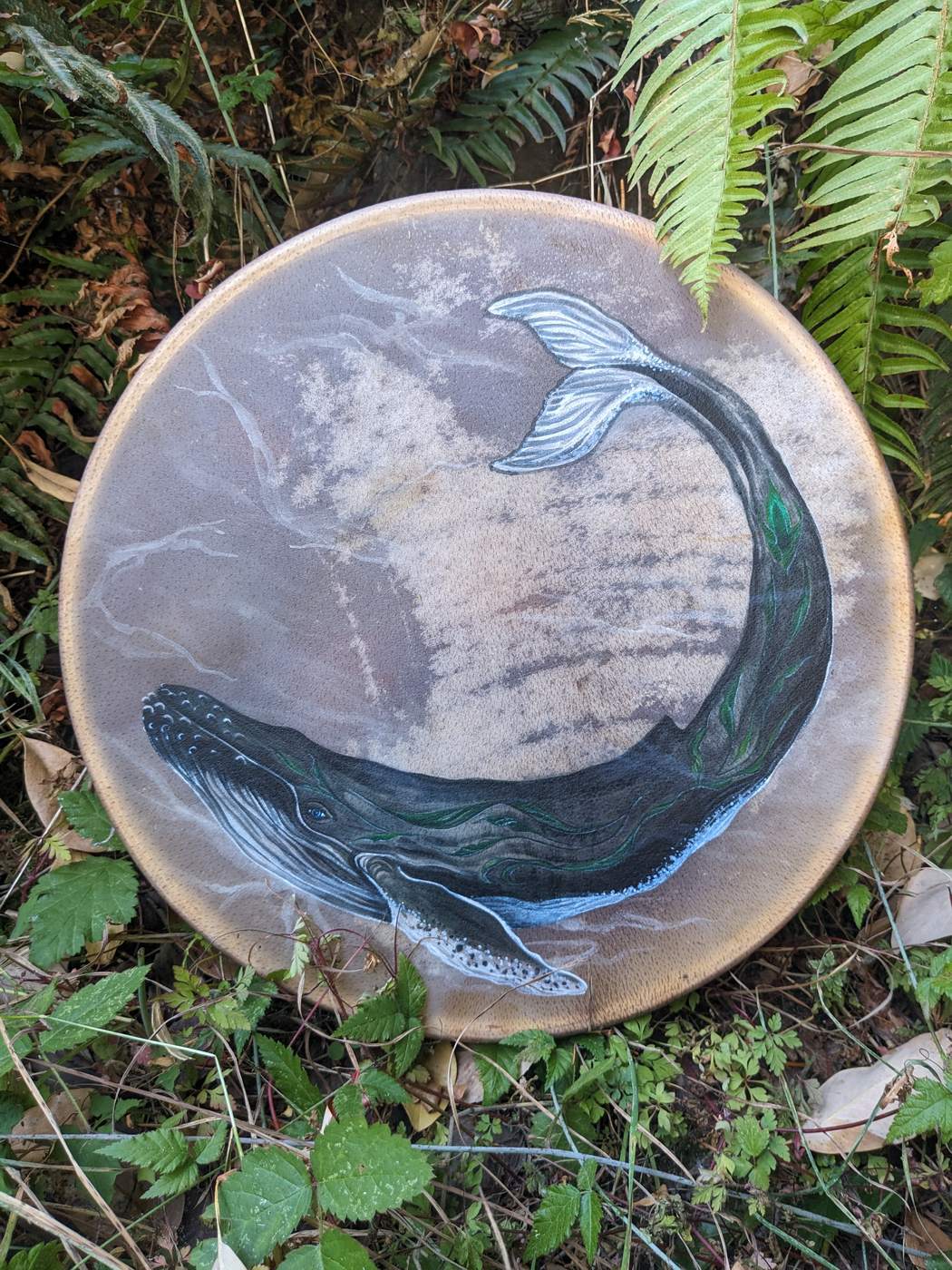 Hand drum painted with a humpback whale, resting among ferns